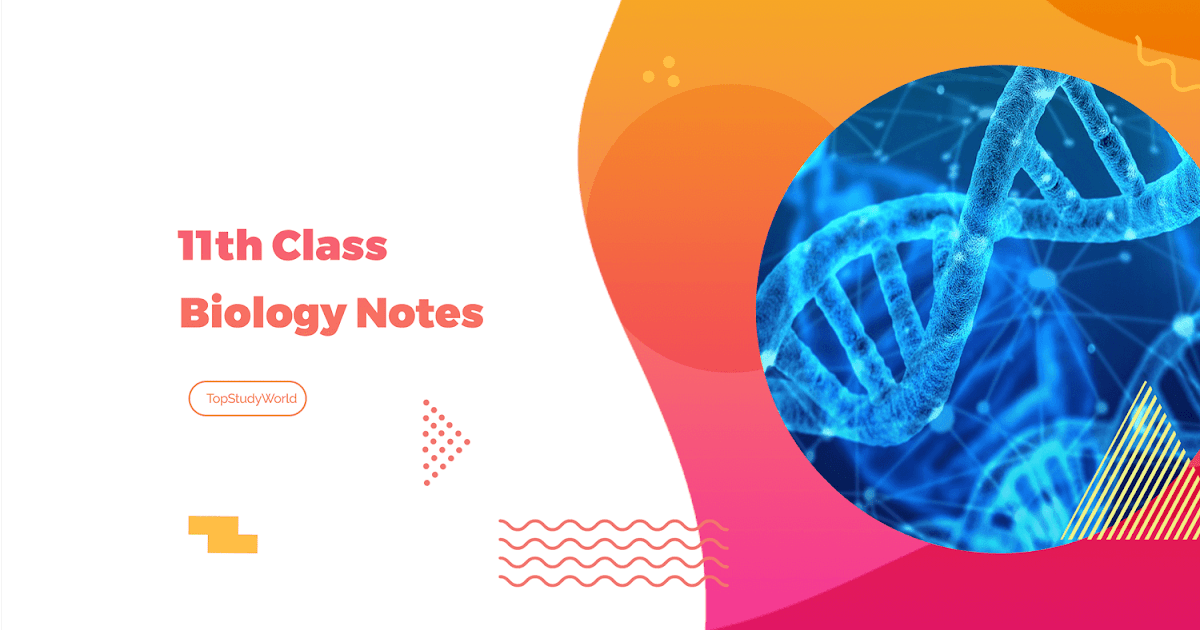 [PDF] Biology Class 11th Short Notes Download For Free » Education ...